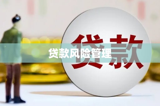 马边贷款风险管理