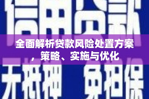 马边全面解析贷款风险处置方案，策略、实施与优化