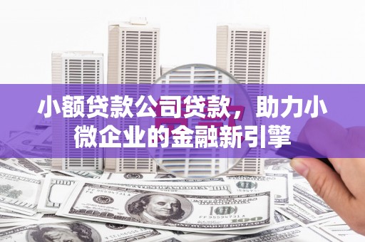 马边小额贷款公司贷款，助力小微企业的金融新引擎