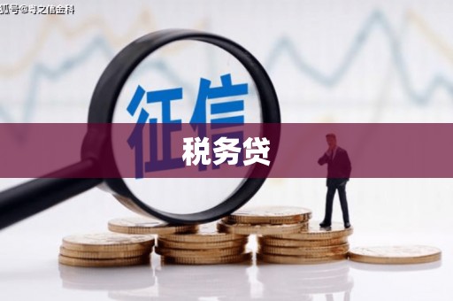 马边税务贷