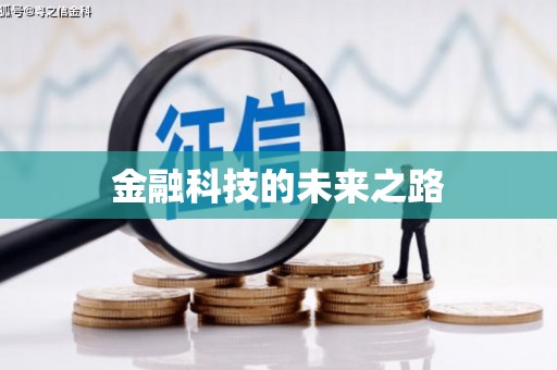 马边金融科技的未来之路