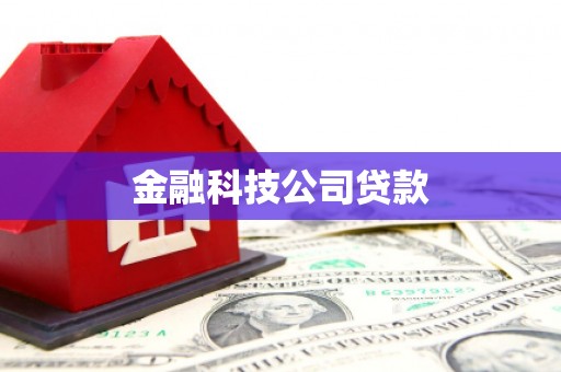 马边金融科技公司贷款