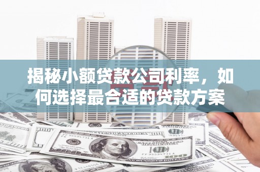 马边揭秘小额贷款公司利率，如何选择最合适的贷款方案