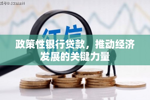马边政策性银行贷款，推动经济发展的关键力量
