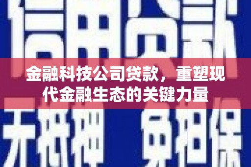 马边金融科技公司贷款，重塑现代金融生态的关键力量