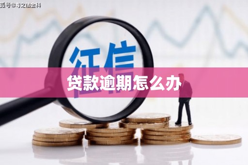 马边贷款逾期怎么办