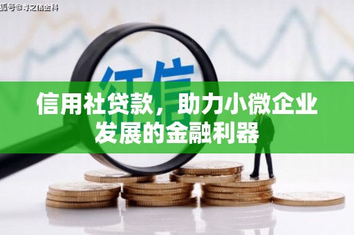 马边信用社贷款，助力小微企业发展的金融利器