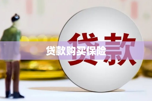 马边贷款购买保险
