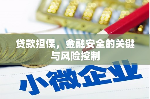 马边贷款担保，金融安全的关键与风险控制