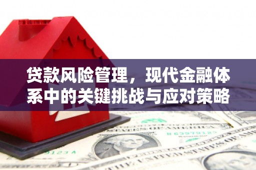 马边贷款风险管理，现代金融体系中的关键挑战与应对策略