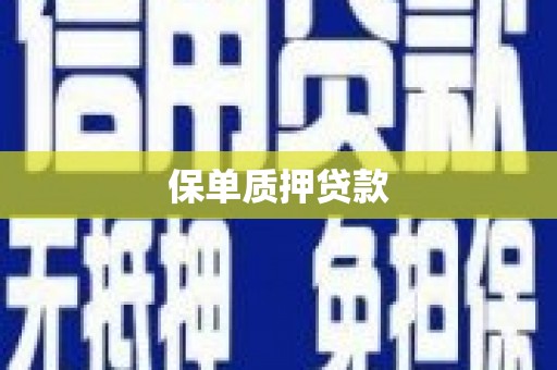 马边保单质押贷款