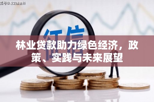 马边林业贷款助力绿色经济，政策、实践与未来展望