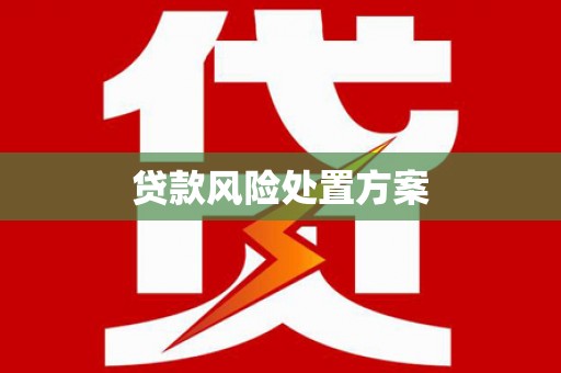 马边贷款风险处置方案