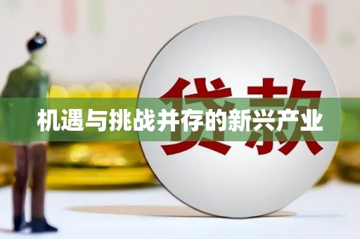 马边机遇与挑战并存的新兴产业