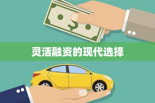 马边灵活融资的现代选择