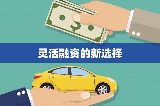 马边灵活融资的新选择