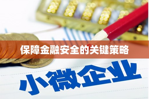 马边保障金融安全的关键策略
