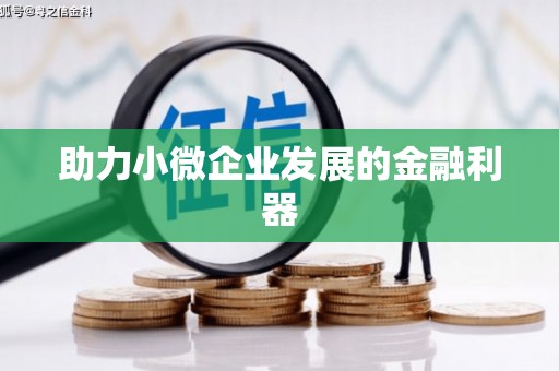 马边助力小微企业发展的金融利器