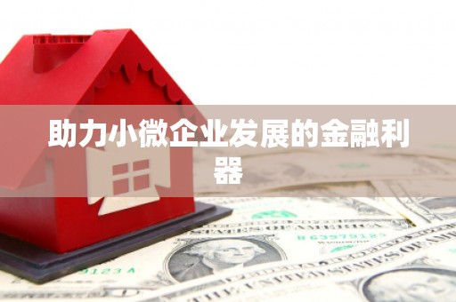 马边助力小微企业发展的金融利器