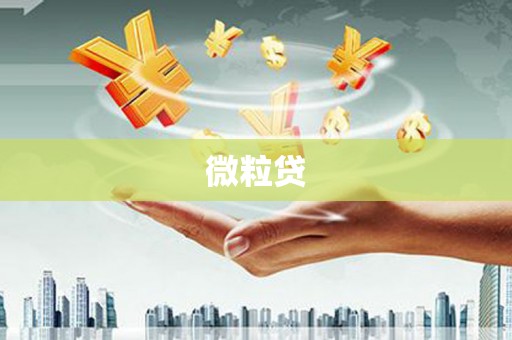 马边微粒贷