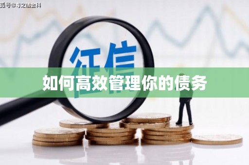 马边如何高效管理你的债务