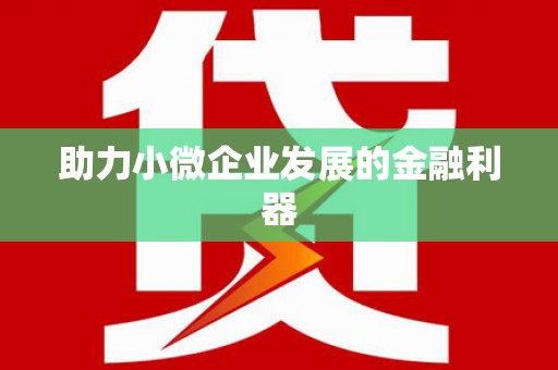 马边助力小微企业发展的金融利器