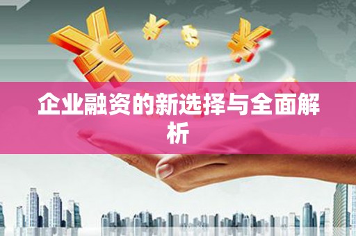 马边企业融资的新选择与全面解析