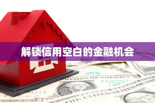 马边解锁信用空白的金融机会