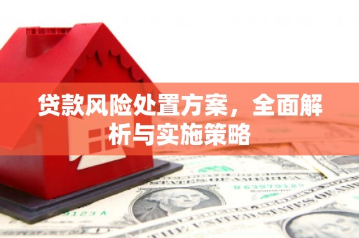 马边贷款风险处置方案，全面解析与实施策略