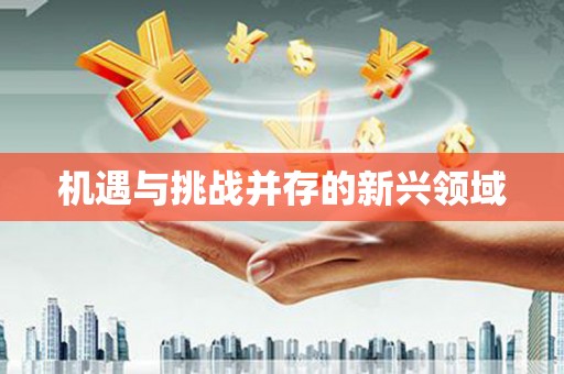 马边机遇与挑战并存的新兴领域