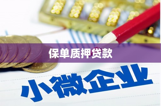 马边保单质押贷款
