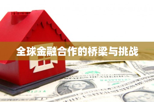 马边全球金融合作的桥梁与挑战