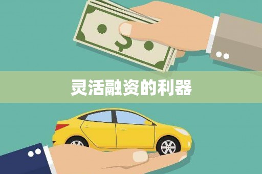 马边灵活融资的利器