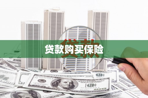 马边贷款购买保险