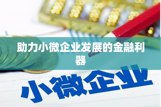马边助力小微企业发展的金融利器