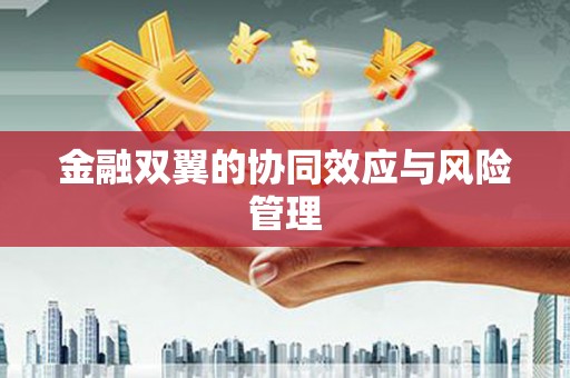 马边金融双翼的协同效应与风险管理
