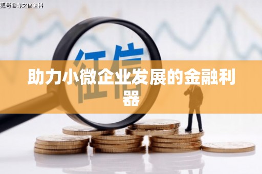 马边助力小微企业发展的金融利器
