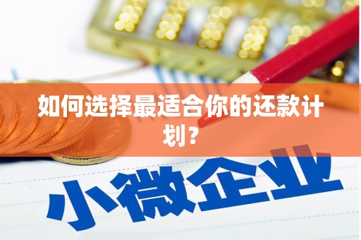 马边如何选择最适合你的还款计划？