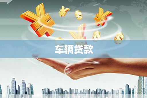 马边车辆贷款