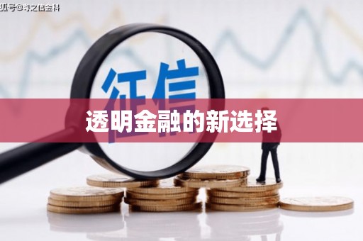 马边透明金融的新选择