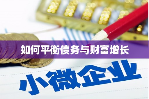 马边如何平衡债务与财富增长
