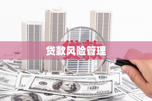 马边贷款风险管理
