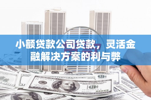 马边小额贷款公司贷款，灵活金融解决方案的利与弊