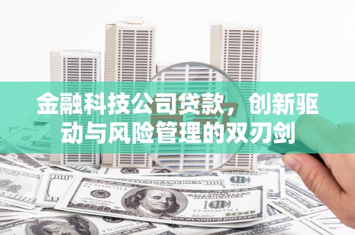 马边金融科技公司贷款，创新驱动与风险管理的双刃剑